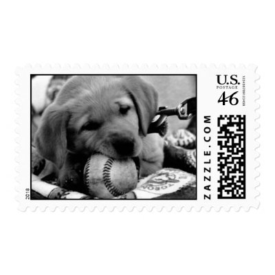 Major League Puppy - Postage by aestheticchaos