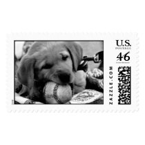 Major League Puppy - Postage postage