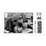Major League Puppy - Postage