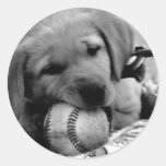 Major League Puppy Sticker
