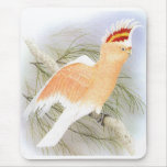 Major Mitchell's Cockatoo - Cacatua leadbeater Mouse Pads