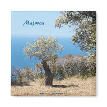 Majorca Magnets