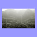 Makaha Valley posters by tarakollmann Makaha Valley posters