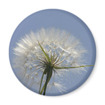 Make a whish magnets by Yarijik Make a whish magnets