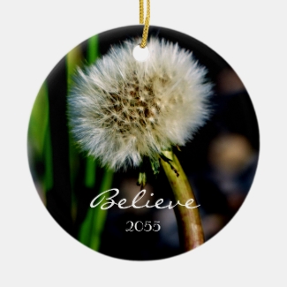 Make a Wish, Believe, Dandelion Christmas Ornament