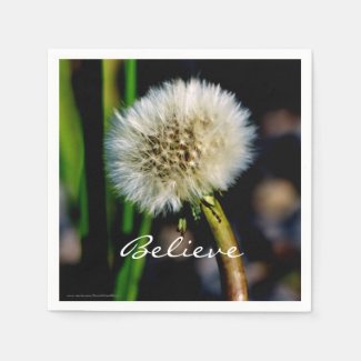 Make a Wish, Believe, Dandelion