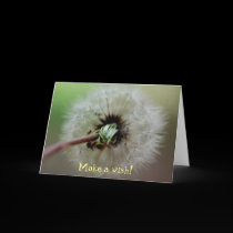 Make a wish! Birthday Card cards