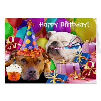 Pitbull Birthday Cards | Zazzle