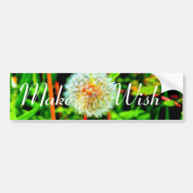 Make a Wish Bumper Sticker