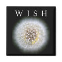 Make A Wish Dandelion Photography Magnet