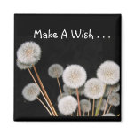 Make A Wish - Magnet