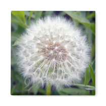 Make A Wish Magnet by CreatureCreations Make A Wish Magnet