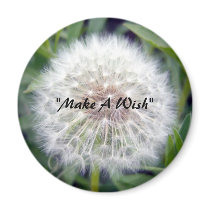 Make A Wish Magnet by CreatureCreations Make A Wish Magnet
