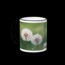 Make a Wish mugs