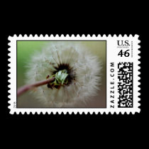 Make a wish postage