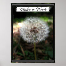 Poster on Make A Wish   Poster