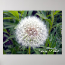 Make A Wish Poster