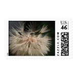 Make a wish stamps