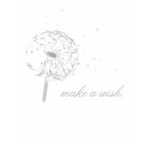 make a wish. t-shirts