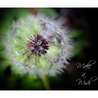 Make a Wish (Vignette) bag