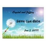Make a Wish Wedding Save the Date Postcards