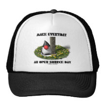 Make Everyday An Open Source Day (Duke) Mesh Hats