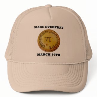Make Everyday March 14th (Pi / Pie Math Humor) hat