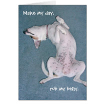 "Make my day, rub my belly." cards