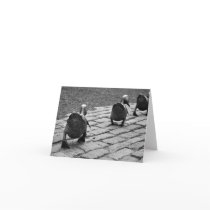 Make Way for Ducklings Greeting Card