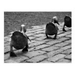 Make Way for Ducklings Post Card