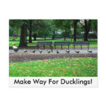 Make Way For Ducklings! Post Card