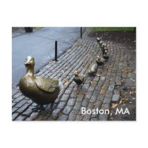 Make Way For The Ducklings Postcard