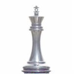Make your own chess set Silver King Photo Sculpture
