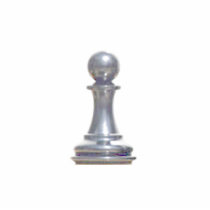 Make your own chess set Silver Pawn Photo Sculpture