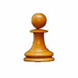 Make your own chess set White Pawn Photo Cutout