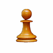 Make your own chess set White Pawn photo sculptures by maximus7 Make your own chess set White Pawn photo sculptures