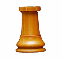 Make your own chess set White Rook Photo Sculpture