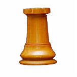 Make your own chess set White Rook Photo Sculpture
