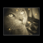 Making a Wish postcards