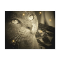 Making a Wish postcards