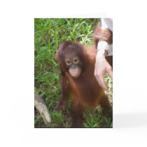 Making Friends wildlife card by Rebecca_Reeder Making Friends wildlife card