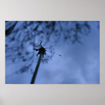 Making Wishes Poster posters