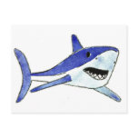 Mako Shark