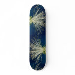 Malabar chestnut, pachira aquatica skateboard decks