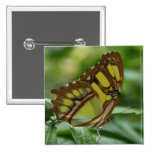 Malachite Butterfly Square Pin