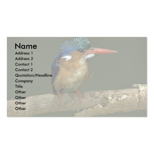 Malachite Kingfisher Business Card Template (front side)