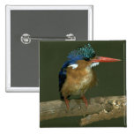 Malachite Kingfisher Button