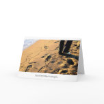 malaga stroll cards