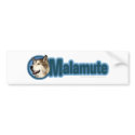 Malamute Art bumper stickers