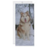 Malamute Book Mark Rack Cards